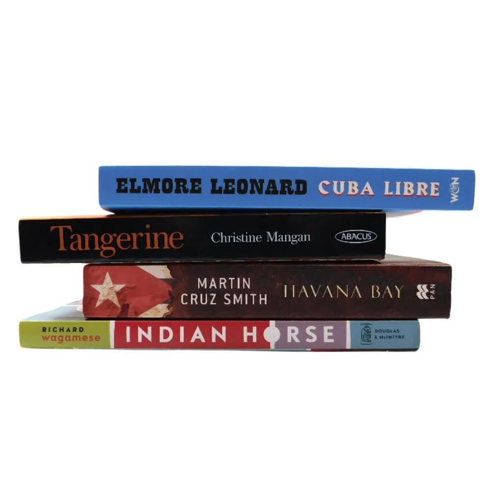 Thriller‎ & Mystery Book Bundle – (Set of 4)